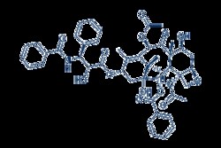 Selleck Chemicals Co Ltd&nbsp;Paclitaxel 10mg 33069-62-4 NSC 125973, PTX, Taxol, Onxal